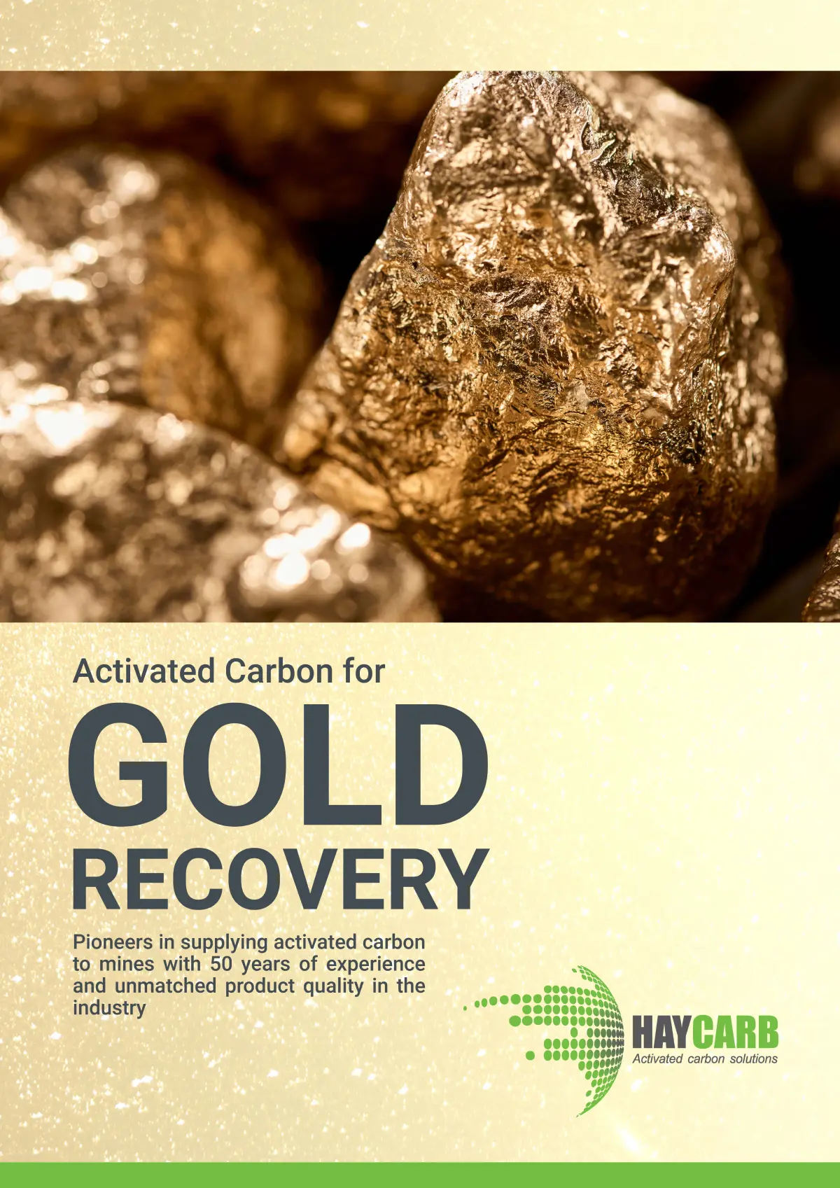 Gold Recovery Brochure 1 1