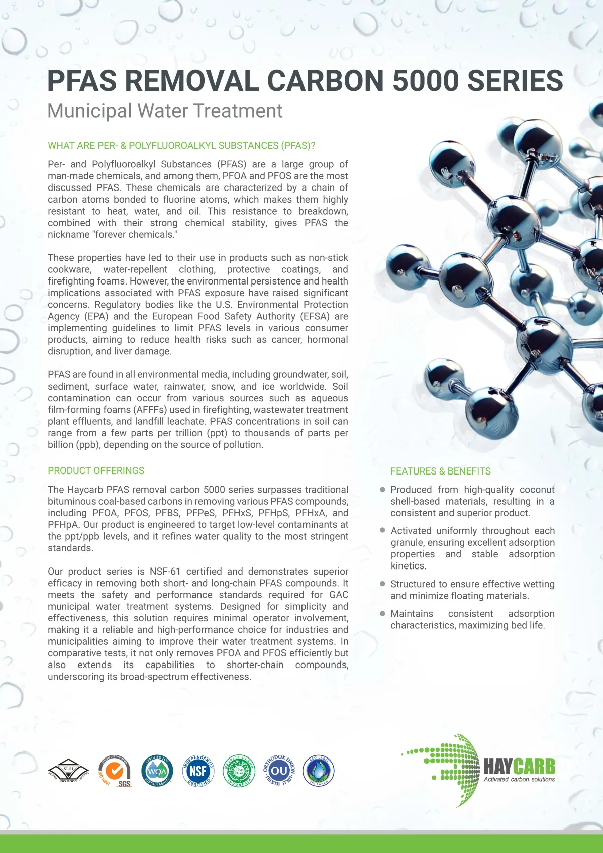 PFAS Removal Carbon Brochure Municipal Treatment